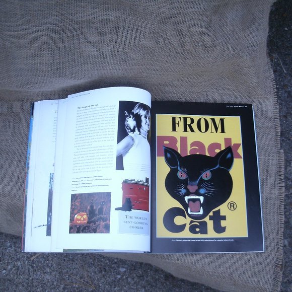 The Kingdom of the Cat by Roni Jay - Picture 6 of 16